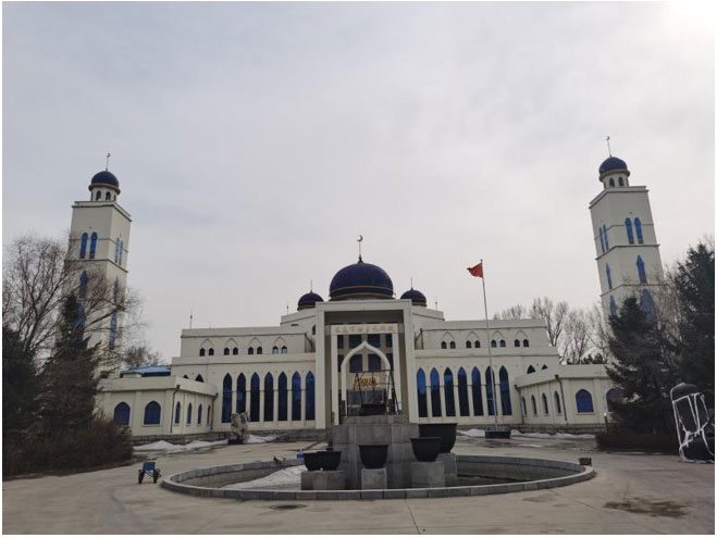 9811611631668586.jpg 24.jpg